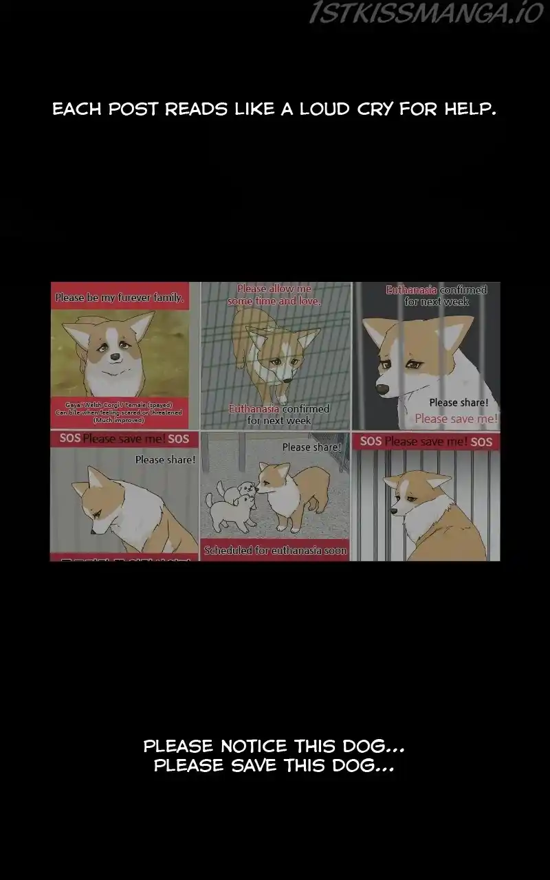 The Dog Diaries Chapter 78