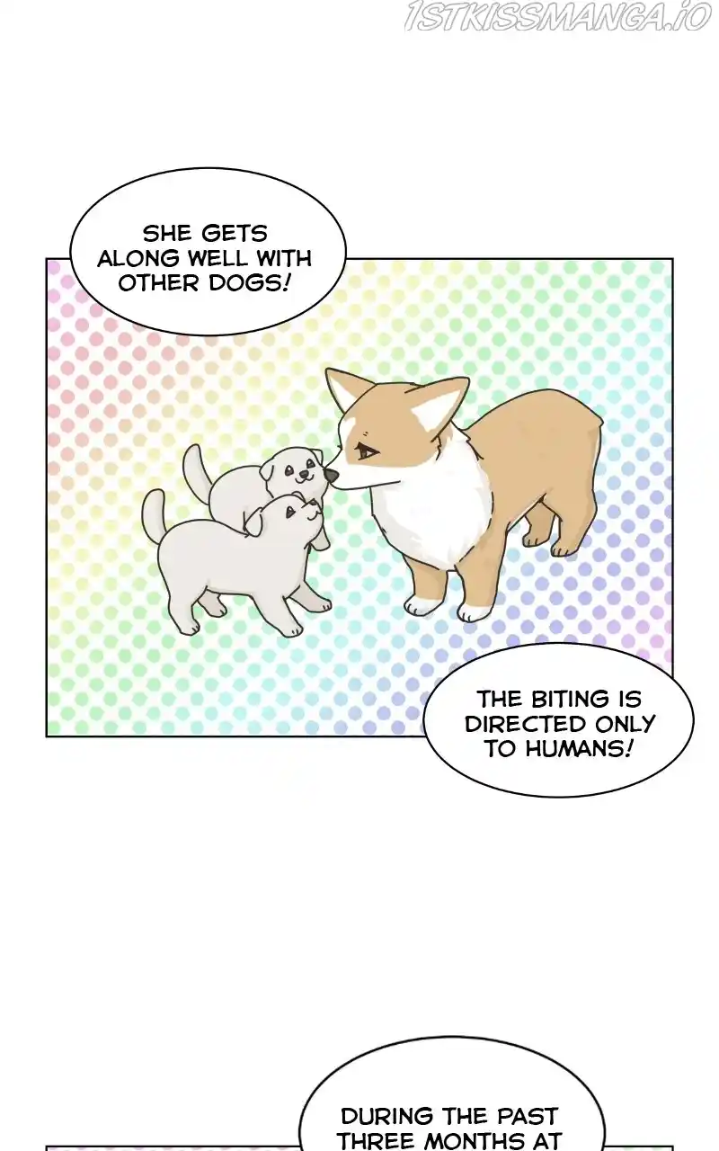 The Dog Diaries Chapter 79