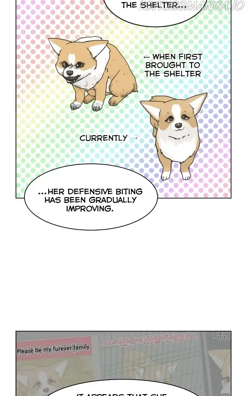 The Dog Diaries Chapter 79