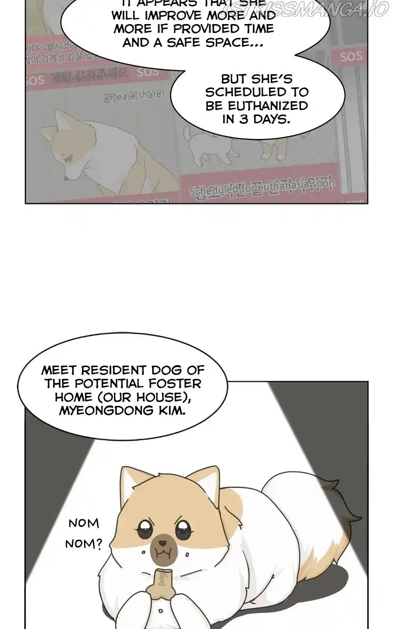 The Dog Diaries Chapter 79