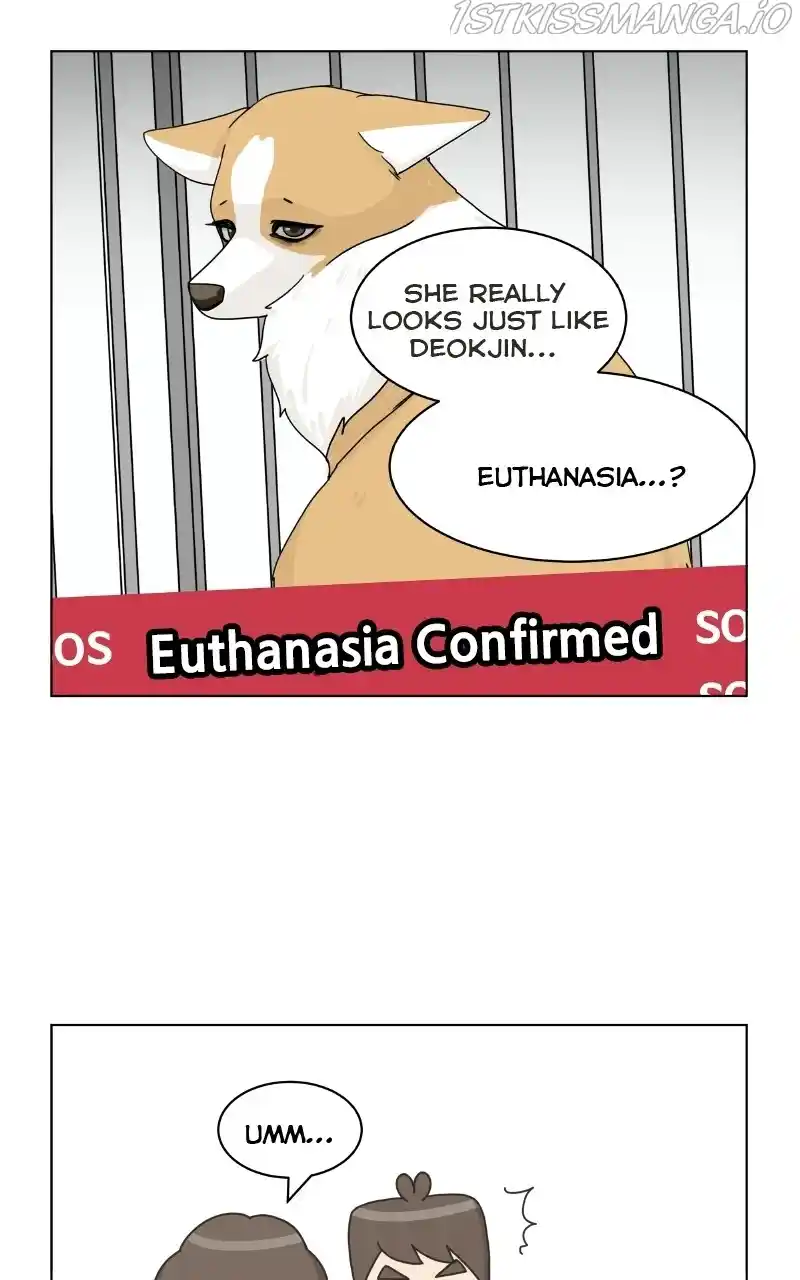 The Dog Diaries Chapter 79