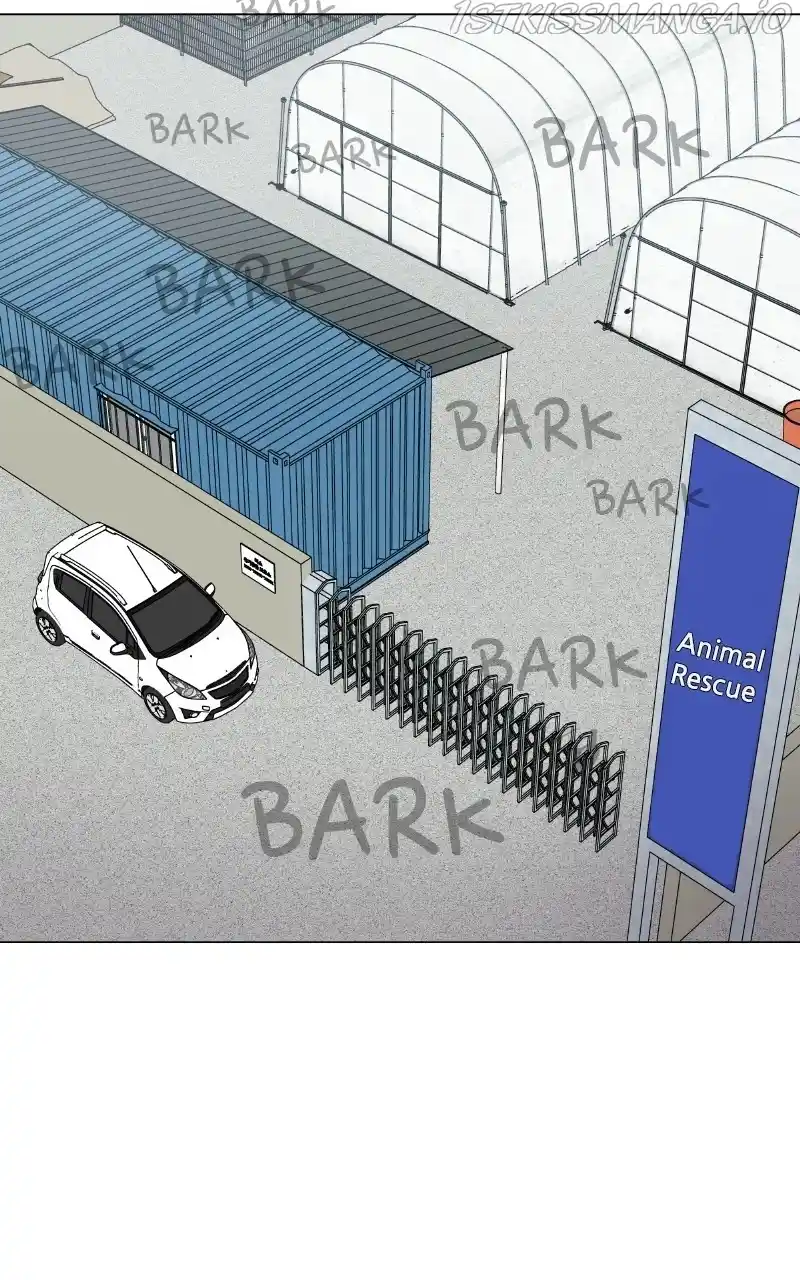 The Dog Diaries Chapter 79