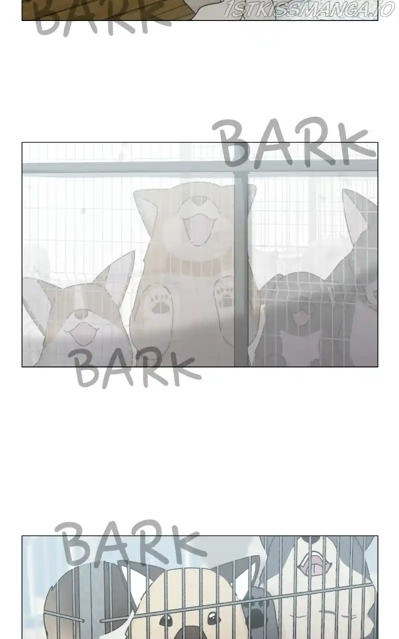 The Dog Diaries Chapter 79