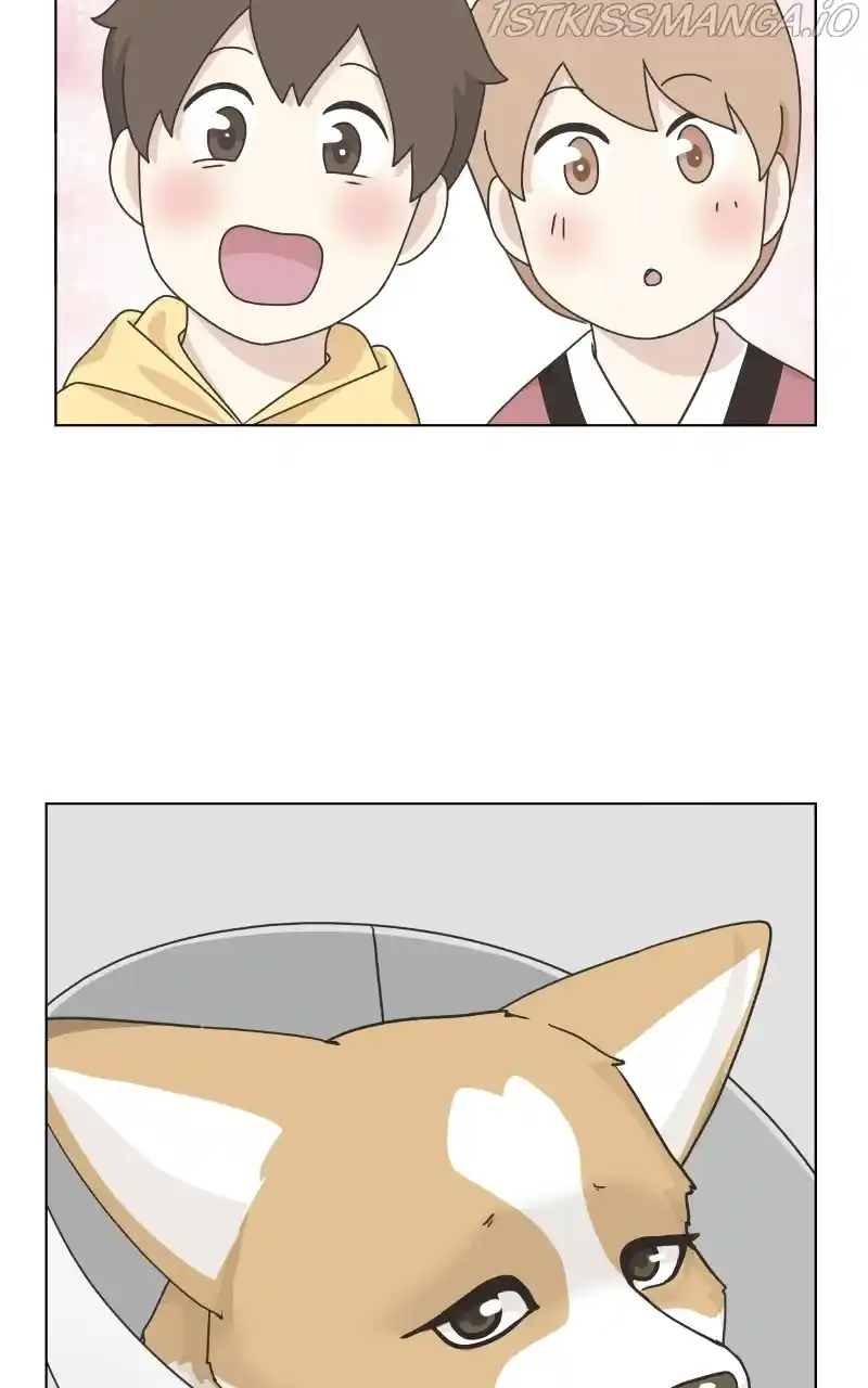 The Dog Diaries Chapter 79