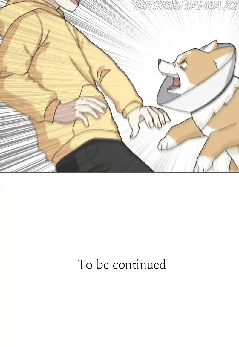 The Dog Diaries Chapter 79