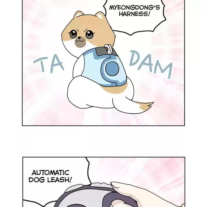 The Dog Diaries Chapter 8