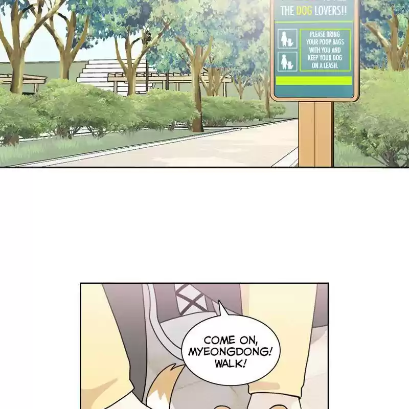 The Dog Diaries Chapter 8