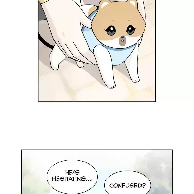 The Dog Diaries Chapter 8