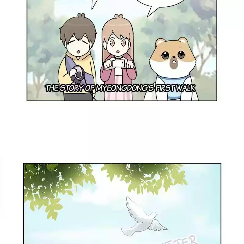 The Dog Diaries Chapter 8