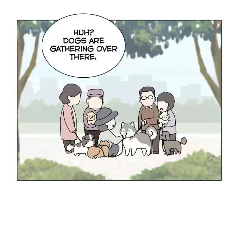 The Dog Diaries Chapter 8