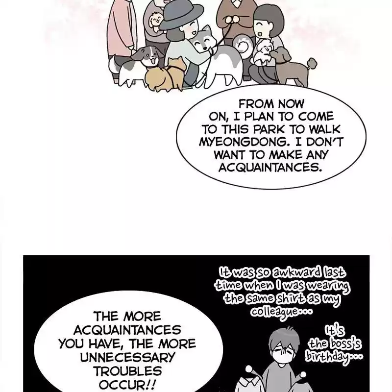 The Dog Diaries Chapter 8