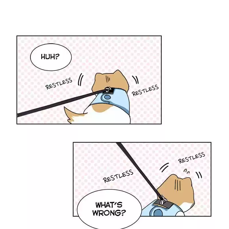 The Dog Diaries Chapter 8