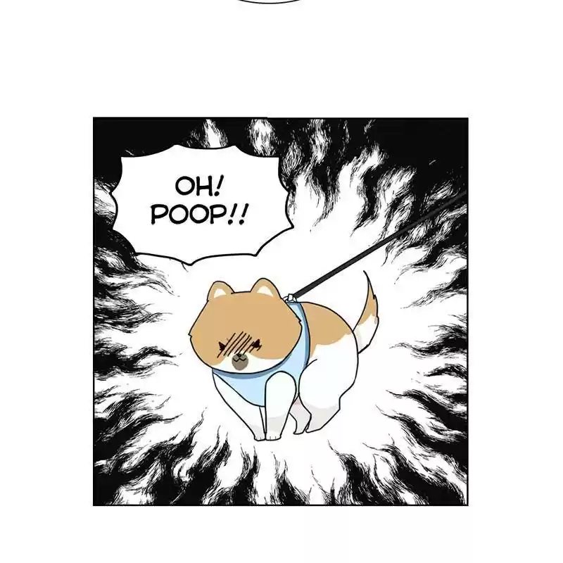 The Dog Diaries Chapter 8