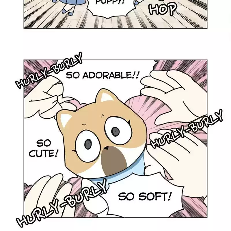 The Dog Diaries Chapter 8