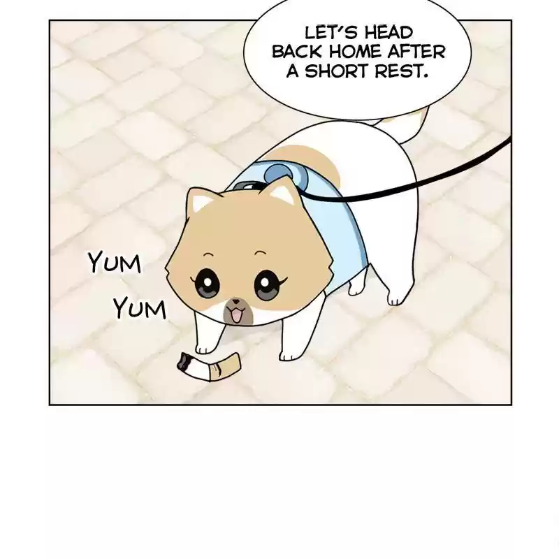 The Dog Diaries Chapter 8