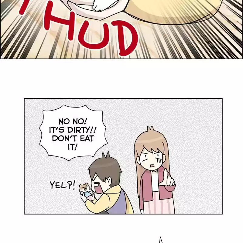 The Dog Diaries Chapter 8