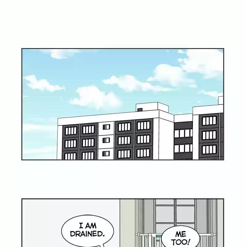 The Dog Diaries Chapter 8