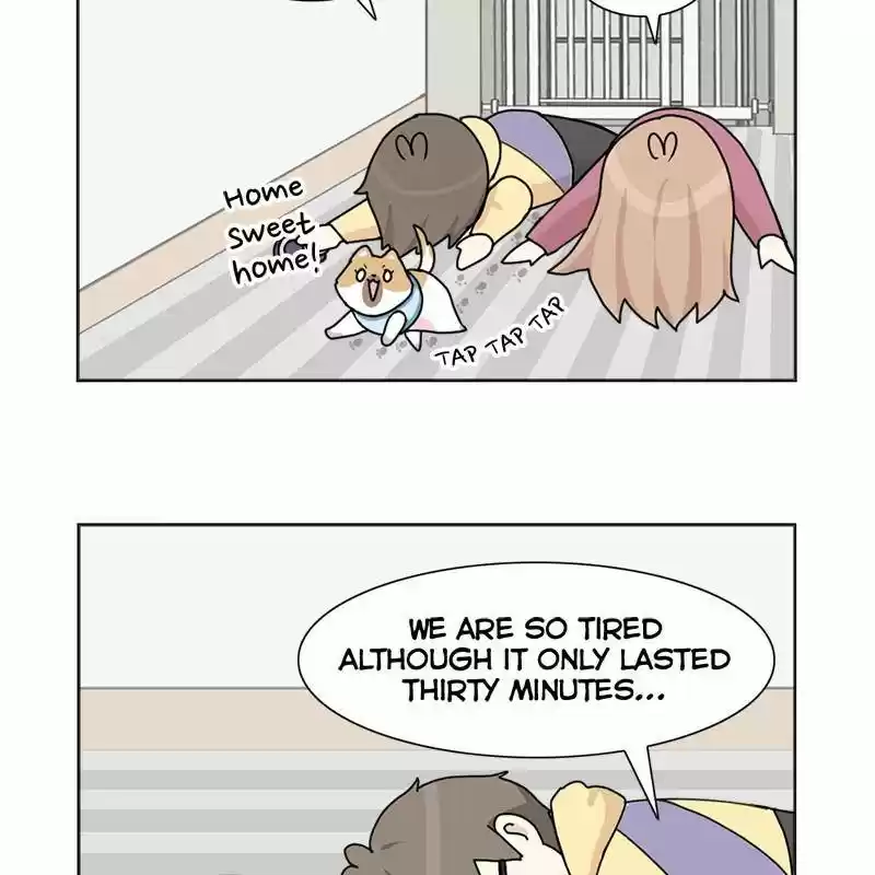 The Dog Diaries Chapter 8