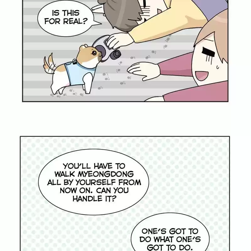 The Dog Diaries Chapter 8