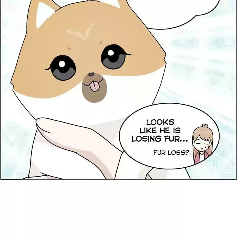 The Dog Diaries Chapter 8