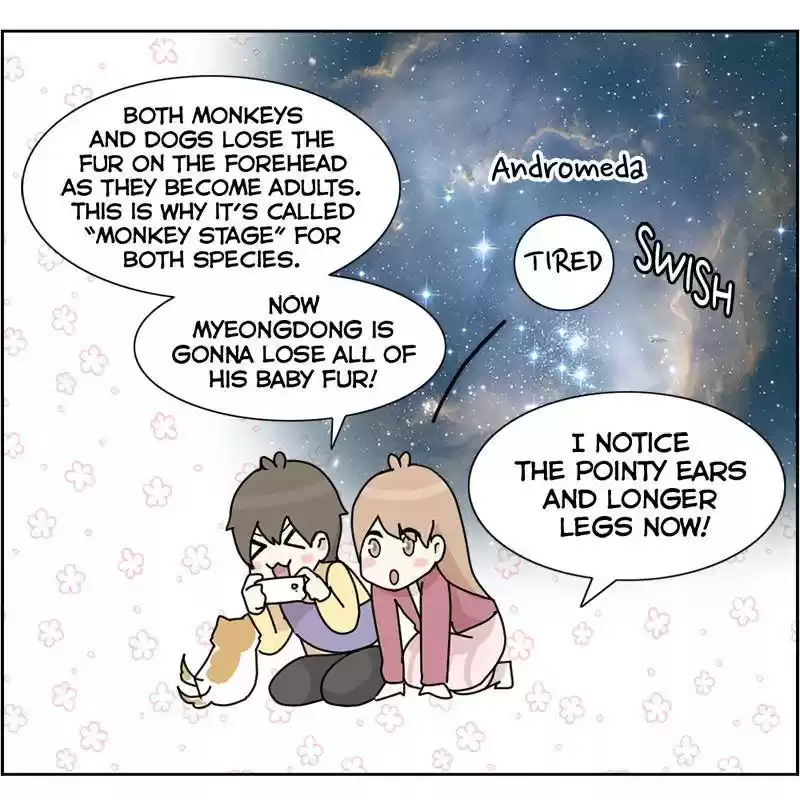 The Dog Diaries Chapter 8