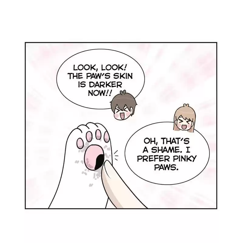 The Dog Diaries Chapter 8