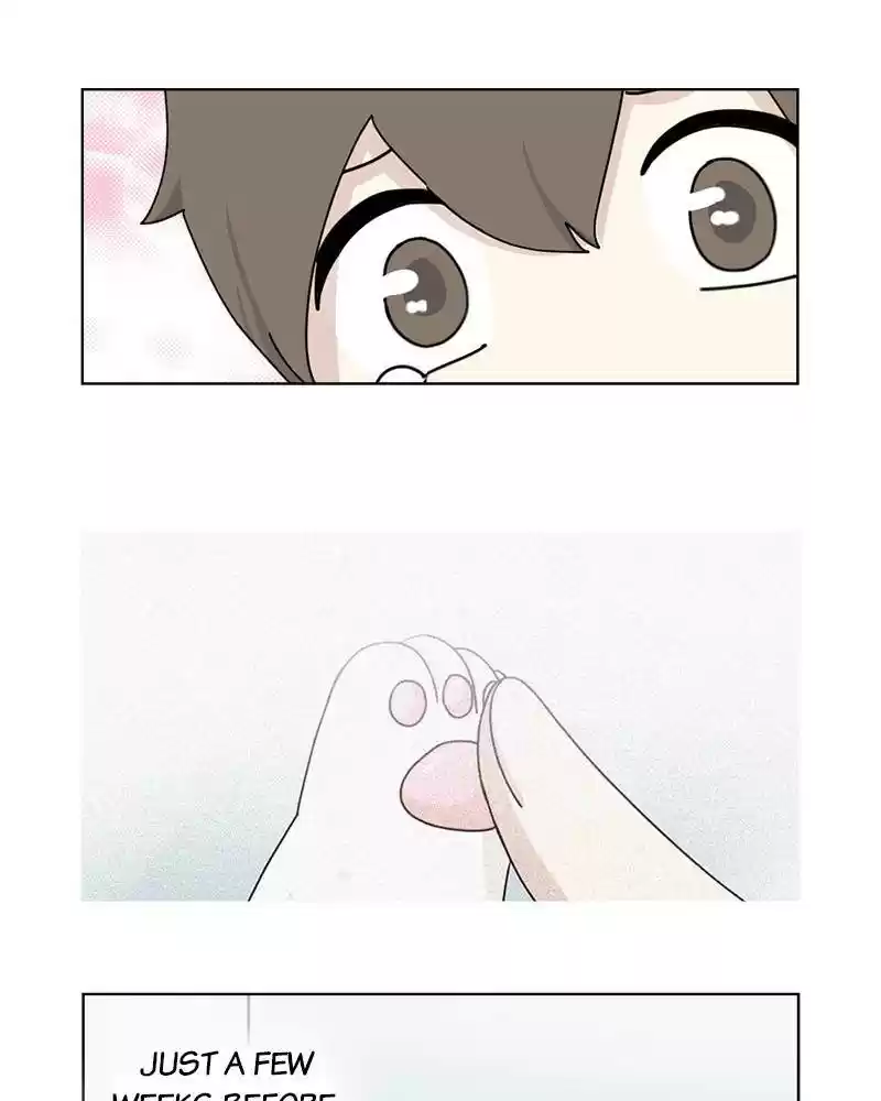 The Dog Diaries Chapter 8