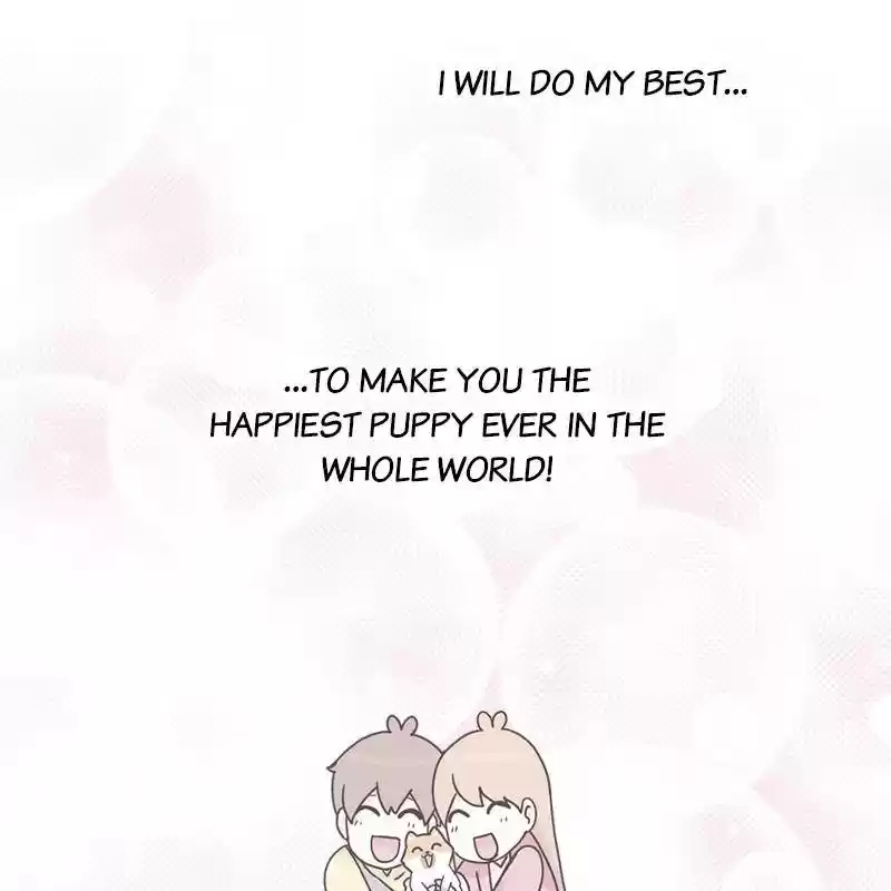 The Dog Diaries Chapter 8