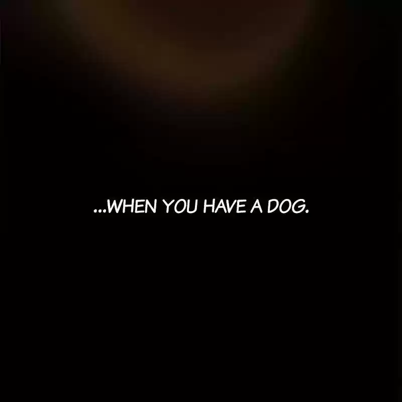 The Dog Diaries Chapter 8