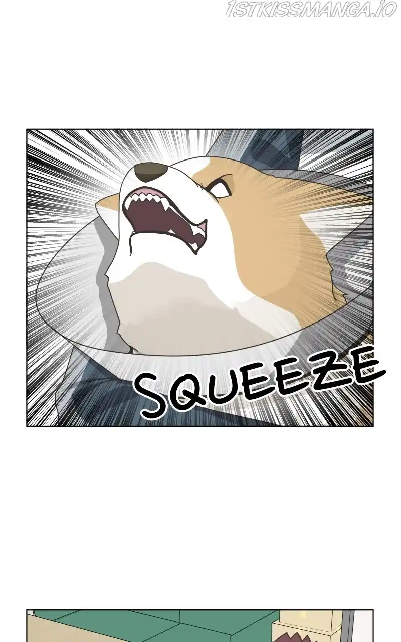 The Dog Diaries Chapter 80