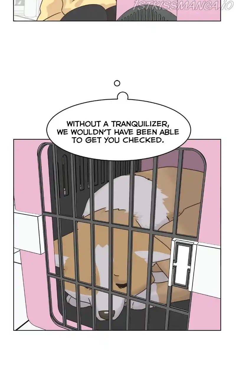 The Dog Diaries Chapter 80