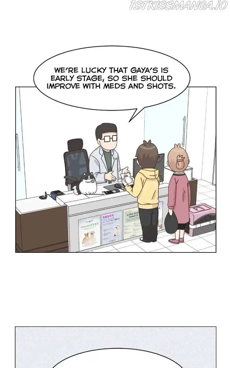 The Dog Diaries Chapter 81