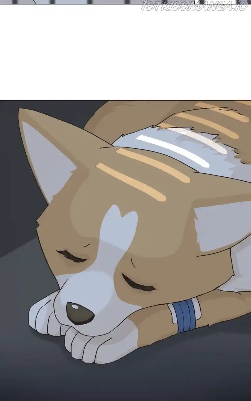 The Dog Diaries Chapter 81