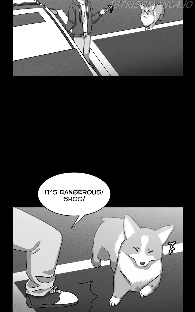 The Dog Diaries Chapter 81