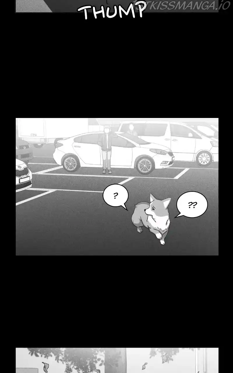 The Dog Diaries Chapter 81