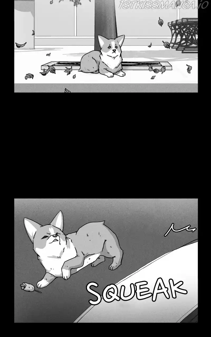 The Dog Diaries Chapter 81