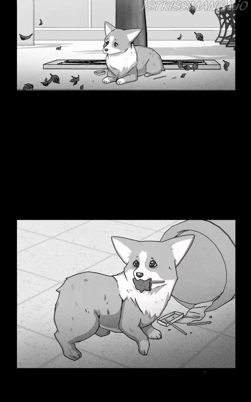 The Dog Diaries Chapter 81