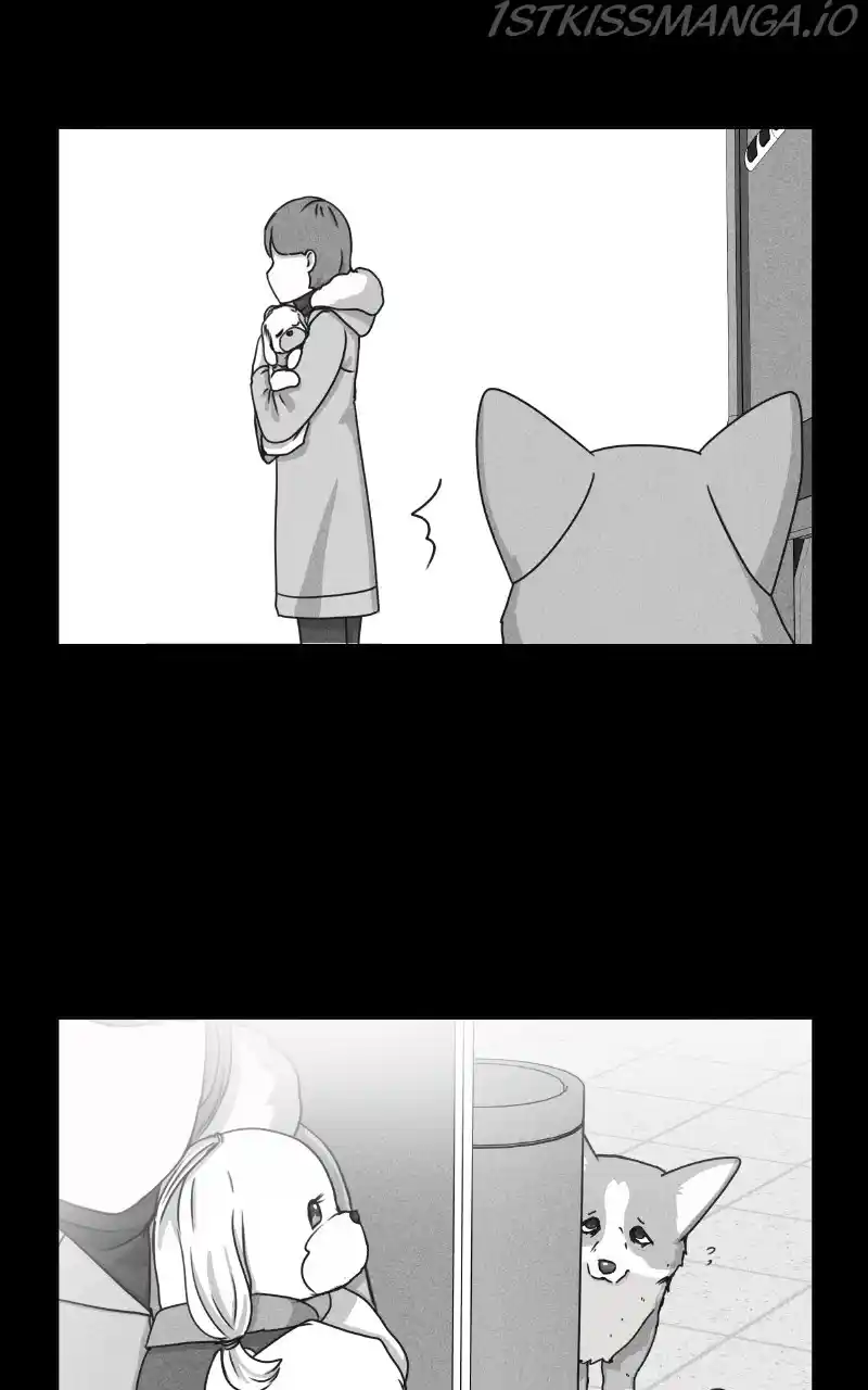 The Dog Diaries Chapter 81