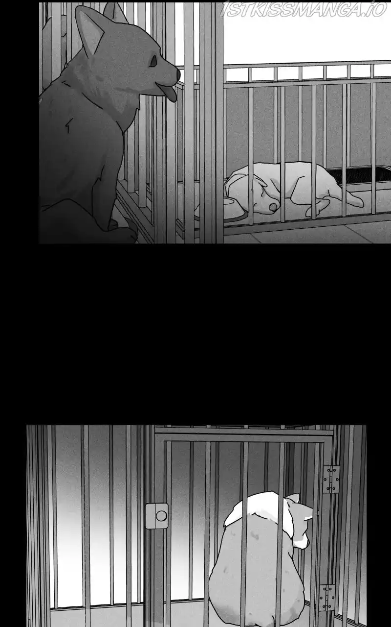 The Dog Diaries Chapter 81