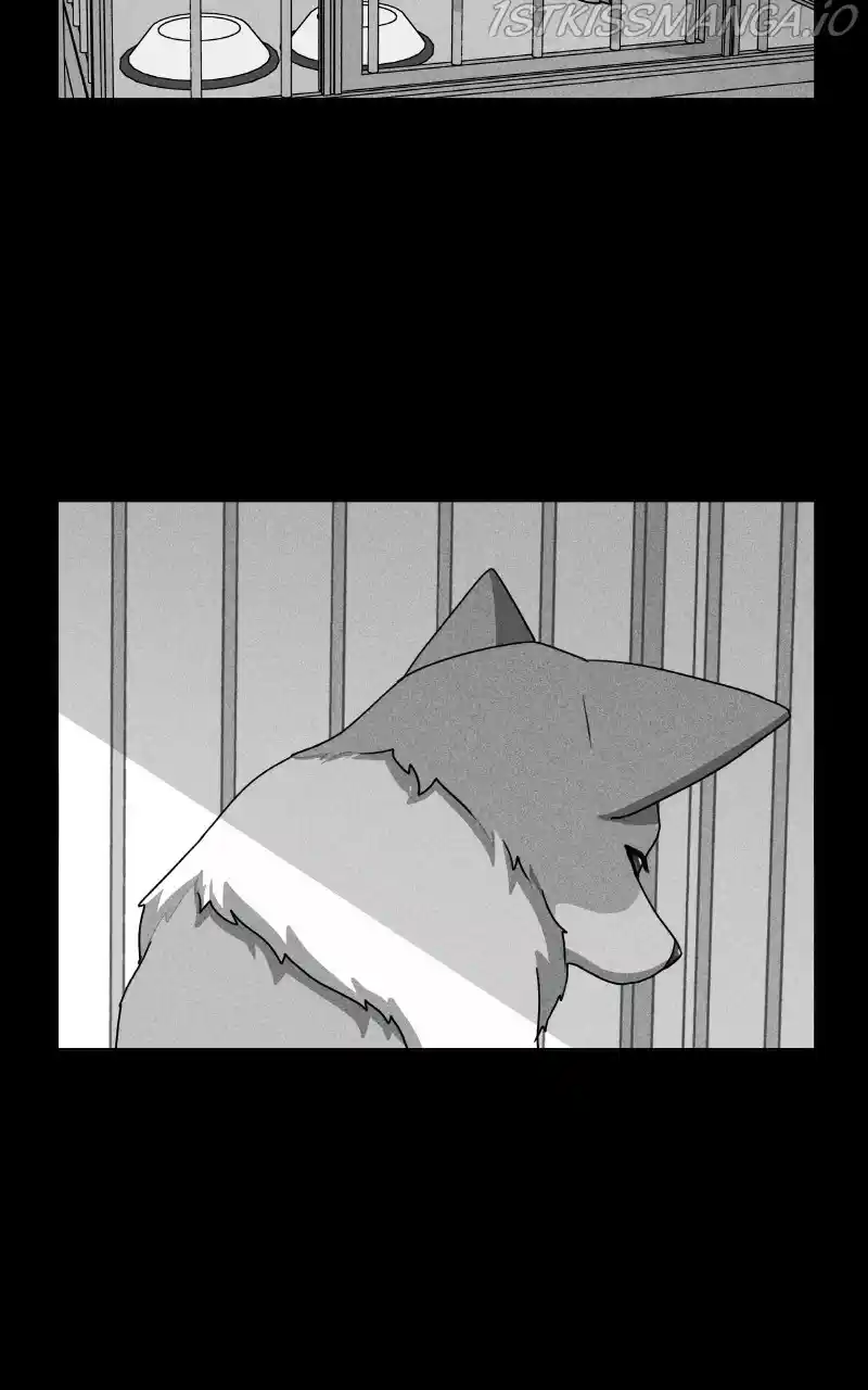 The Dog Diaries Chapter 81