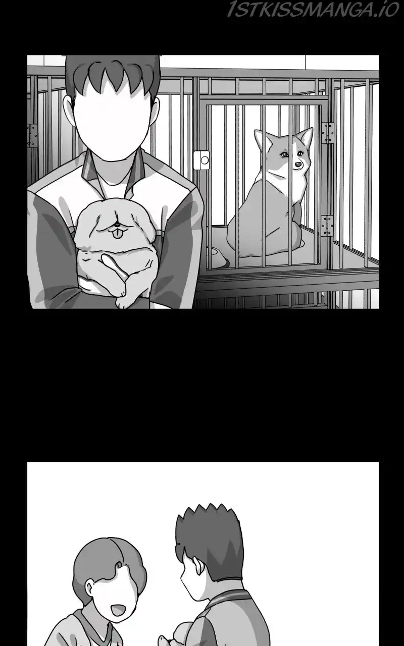 The Dog Diaries Chapter 81