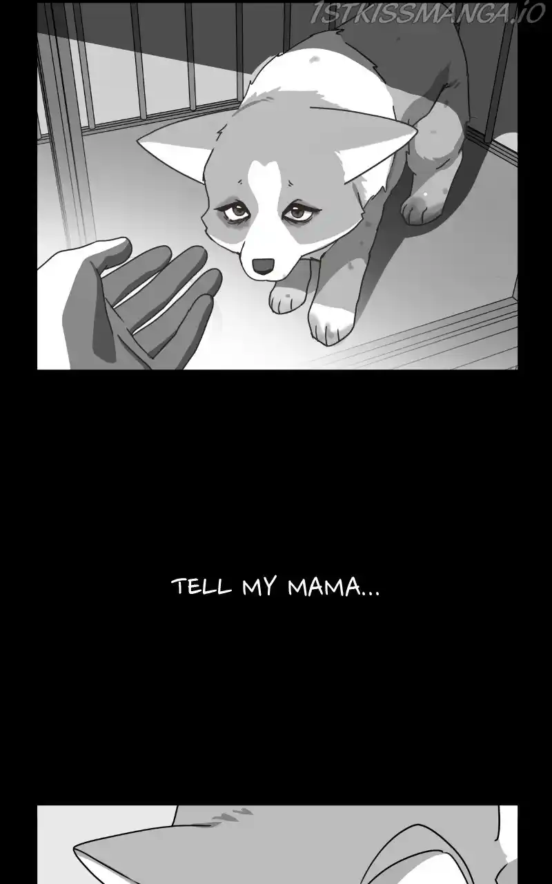 The Dog Diaries Chapter 81