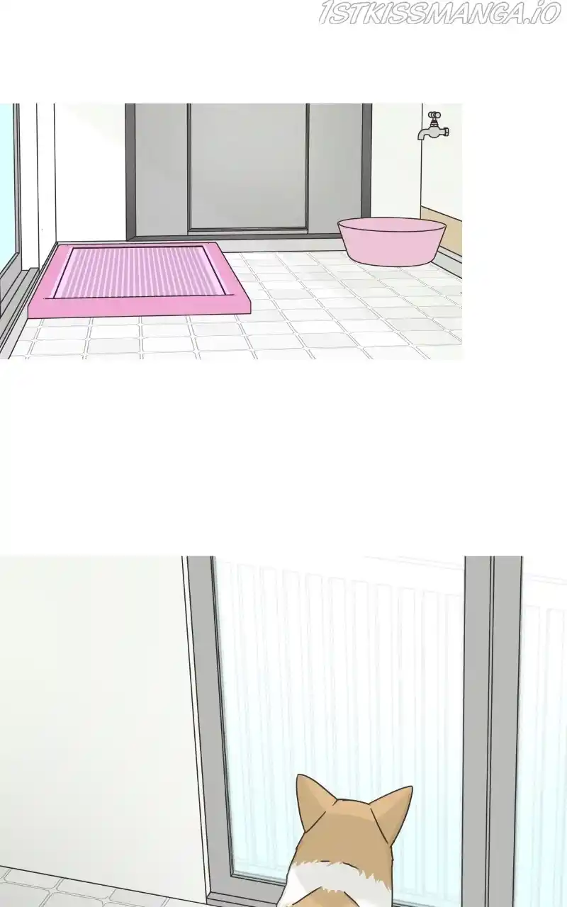 The Dog Diaries Chapter 81