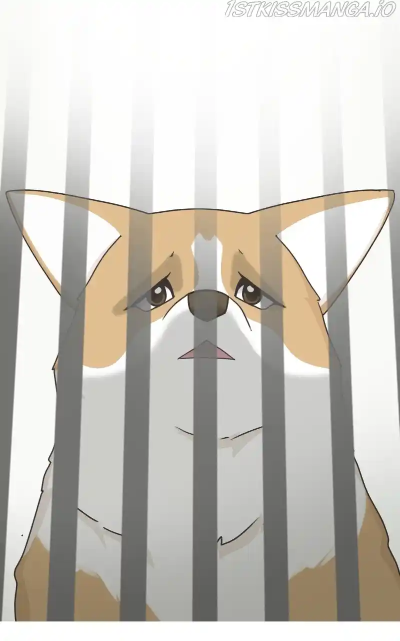 The Dog Diaries Chapter 81