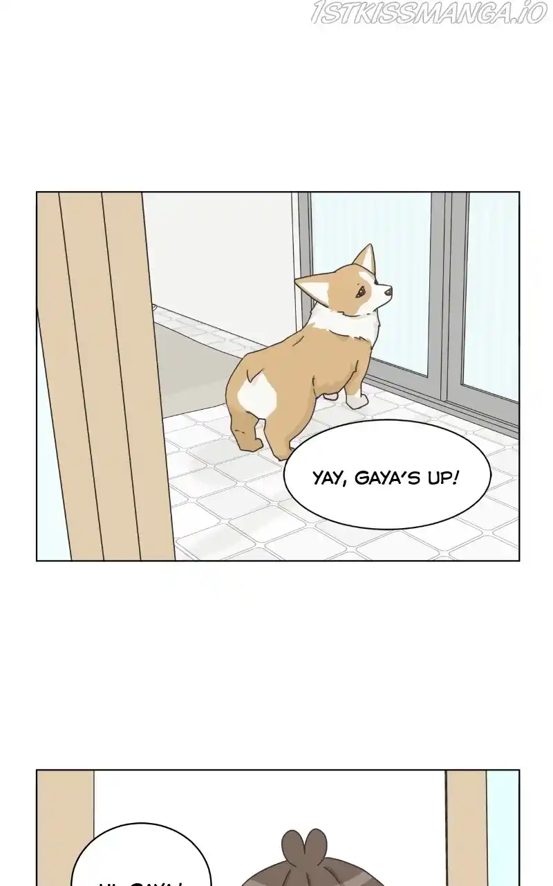 The Dog Diaries Chapter 81
