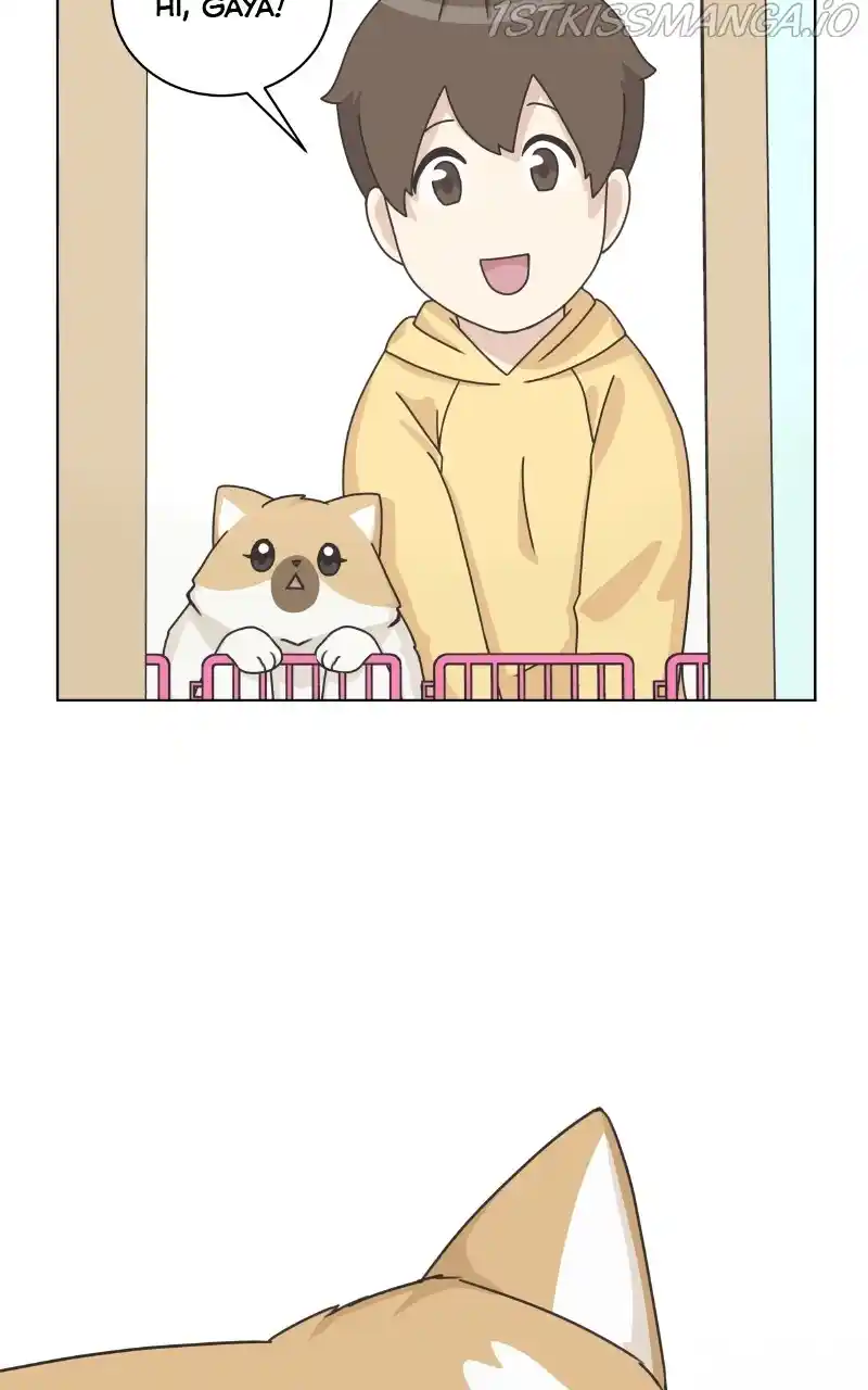 The Dog Diaries Chapter 81