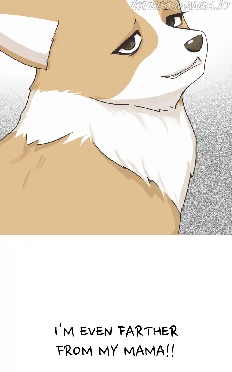 The Dog Diaries Chapter 81