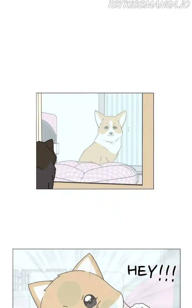 The Dog Diaries Chapter 82