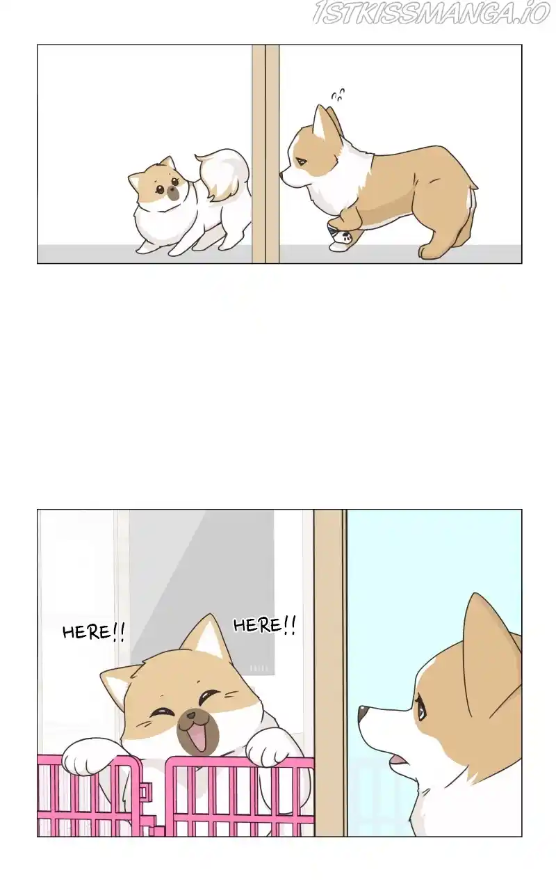 The Dog Diaries Chapter 82