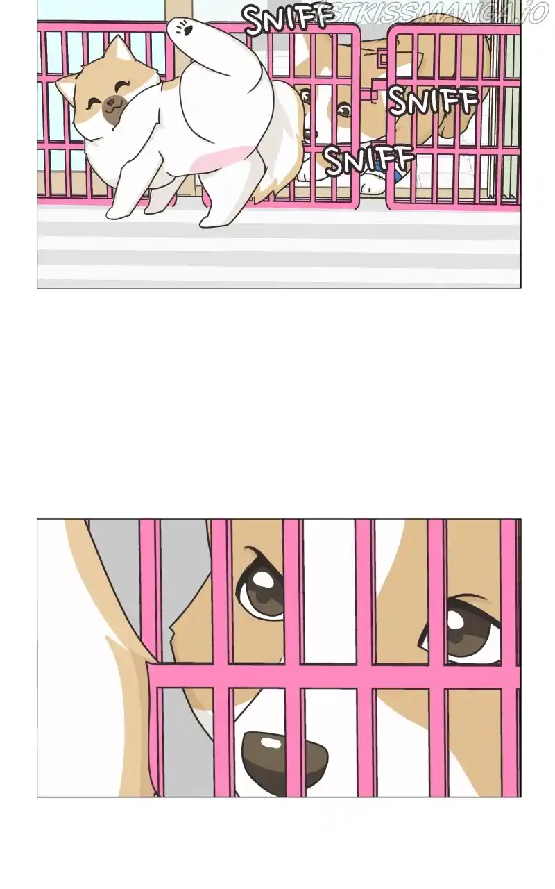 The Dog Diaries Chapter 82